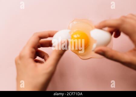 Da sopra raccolto persona anonima che rompe uovo fresco bianco crudo su sfondo rosa Foto Stock