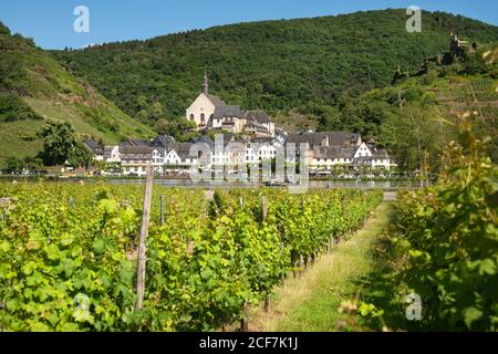 BEILSTEIN, GERMANIA - 21 giugno 2020: BEILSTEIN, GERMANIA - 21 GIUGNO 2020: Immagine panoramica del villaggio della Mosella Beilstein il 21 giugno 2020 in Germania Foto Stock