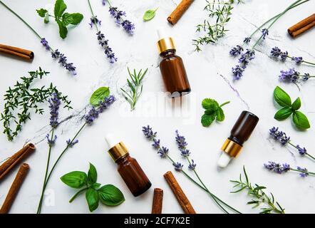 Bottiglie di olio essenziale con rosmarino, timo, lavanda, menta su sfondo bianco di marmo Foto Stock