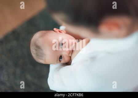 Vista dall'alto di una madre tagliata dai capelli neri irriconoscibile allattamento al seno bambino piccolo Foto Stock