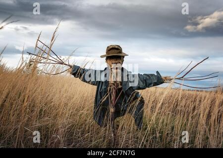 Terribile scarecrow in cappello sporco si erge da solo in un campo autunnale. Concetto di Halloween Foto Stock