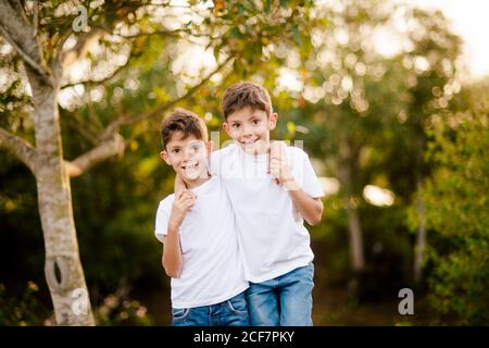 Felici ragazzi gemellati che abbracciano e guardano la macchina fotografica nel parco Foto Stock