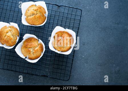 Muffin a banana fatti in casa appena sfornati su griglia per torte, disposizione piatta con spazio per la copia Foto Stock