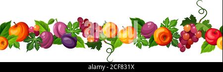 Vettore bordo orizzontale senza giunture con frutti (mele, prugne e uva) isolati su fondo bianco. Illustrazione Vettoriale