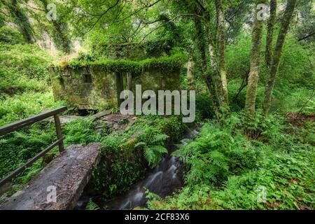 Vecchio mulino ad acqua nella foresta, ponte di legno sul torrente Foto Stock
