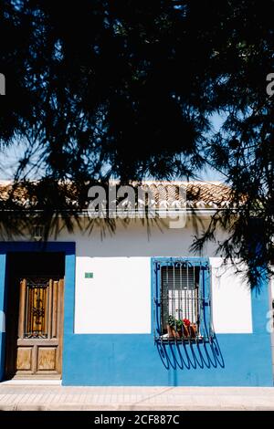 Facciata della casa con parete bianca e blu e recinzione in metallo sulla finestra con piante in vaso con fiori rossi in fiore fronte di rami di albero sotto il cielo blu Foto Stock