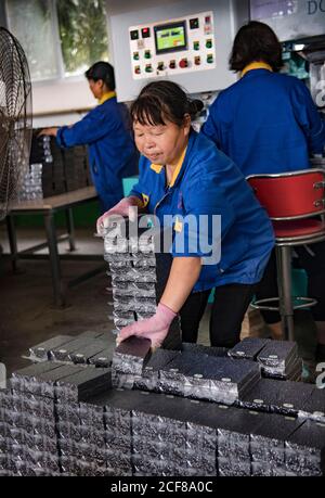 (200904) -- HANZHONG, 4 settembre 2020 (Xinhua) -- i membri del personale impaccano il riso nero nel villaggio di Caoba della contea di Yangxian, la provincia di Shaanxi della Cina nord-occidentale, 2 agosto 2020. Il 23 maggio 1981, gli ultimi sette stambecchi crestati selvaggi sono stati trovati nella contea di Yangxian. Al fine di proteggere Ibis crestato, il governo locale incoraggia gli agricoltori a non utilizzare fertilizzanti e pesticidi chimici nei terreni agricoli degli habitat crestati Ibis. Yangxian aveva scelto l'industria biologica come un modo per risolvere la contraddizione tra la protezione dell'ambiente ecologico e l'ibis e l'economia in via di sviluppo. Prendendo gli organi Foto Stock