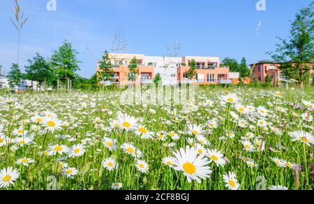 Bella primavera nel parco urbano Foto Stock