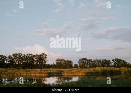 Pittoresco scenario di lago calmo con erba verde e alberi riflesso in acqua sotto il cielo blu nuvoloso in estate sera in campagna Foto Stock