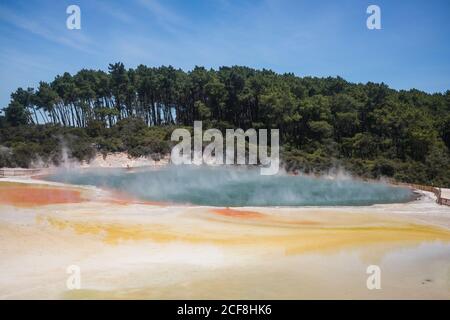 Vulcanico bellissimo lago con colorata spiaggia di sabbia vicino grande verde foresta con cielo blu sullo sfondo a Rotoura Foto Stock