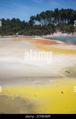 Vulcanico bellissimo lago con colorata spiaggia di sabbia vicino grande verde foresta con cielo blu sullo sfondo a Rotoura Foto Stock