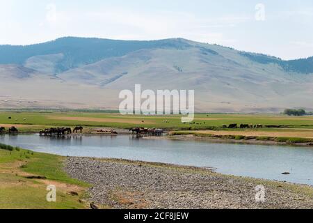 KHARKORIN, MONGOLIA - Valle Orkhon a Kharkhorin (Karakorum), Mongolia. Fa parte dell'Orkhon Valley Cultural Landscape, patrimonio dell'umanità. Foto Stock
