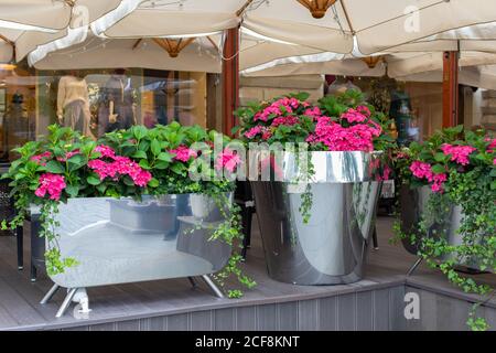 Pink Hydrangea Fiori In Un Vaso Di Metallo Su Vintage Sfondo Con Lavagna Vuota Per Spazio Di Copia Foto Stock Alamy