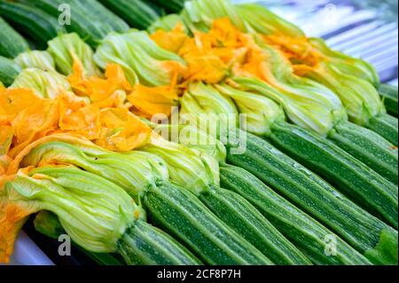 Zucchine verdi giovani con fiori gialli, sano cibo italiano primo piano Foto Stock
