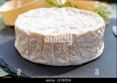 Collezione di formaggi francesi, pezzo di formaggio di mucca camembert stagionato con muffa bianca della Normandia Foto Stock