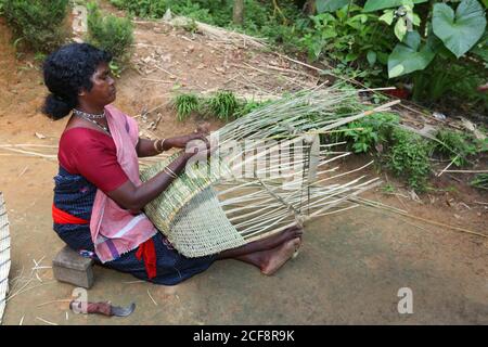 TRIBÙ PANIYAN - Donna tribale che fa la trappola di pesca del bambù, villaggio di Chulliyod, colonia di Vannathara, Kerala, India Foto Stock