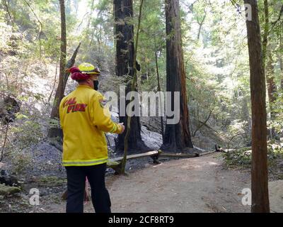 Guerneville, Stati Uniti. 31 Agosto 2020. I vigili del fuoco Will Powers sono sempre in azione all'Armstrong Woods state Park, noto per i suoi antichi stand di sequoie costiere. La regione è stata gravemente colpita dall'incendio del complesso LNU Lightning, scoppiato il 17 agosto 2020. Il peggio è ancora da venire per la California: Di solito i pesanti incendi boschivi non vengono fino all'autunno, ma ora l'incendio inferno è iniziato nel mese di agosto. (A dpa 'la California diventa un inferno di fuoco - nessuna fine in vista') Credit: Barbara Munker/dpa/Alamy Live News Foto Stock