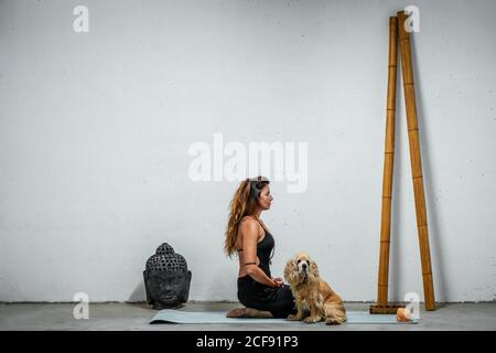 Vista laterale del contenuto femminile seduta su tappetino yoga con Inglese Cocker Spaniel cane e meditare in Padmasana in camera Con la testa di Buddha e bastoni di bambù Foto Stock