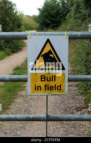 Cartello di avvertenza Bull in Field su un cancello. Dorset, Inghilterra Foto Stock