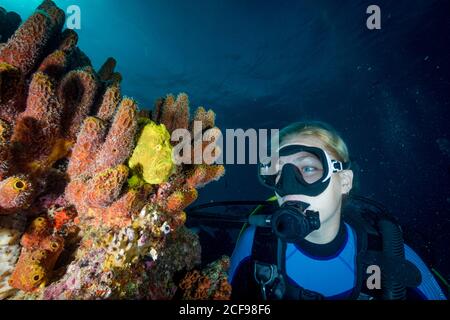 Subacquea femminile ammirando colorata spugna morbida sulla barriera corallina in mare blu chiaro Foto Stock