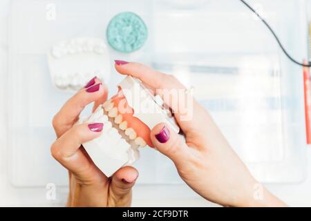 Da sopra vista laterale di femmina di coltura studente che tiene dentiera mentre si siede al tavolo durante la lezione di odontoiatria Foto Stock