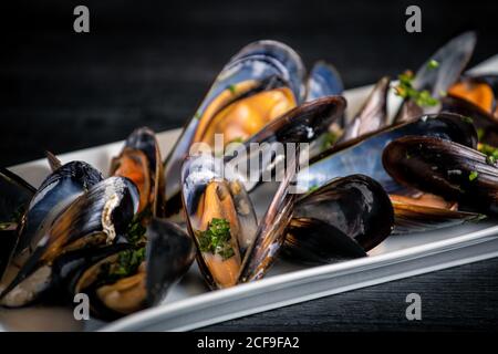 Fresche e appetitose cozze al vapore con salsa tailandese decorata con basilico in piastra bianca sul tavolo Foto Stock