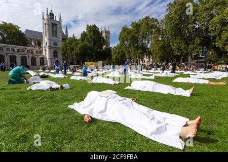 Dottore per la dimostrazione della ribellione dell'estinzione "corpi climatici", Parliament Square, Londra, 2 settembre 2020 Foto Stock