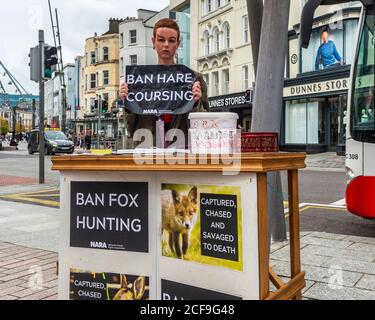 Cork, Irlanda. 4 Settembre 2020. Diane Keevans del gruppo 'Cork Against Bloodsports' si trova a un tavolo informativo su Patrick Street, Cork, questa mattina. La signora Keevans sta mettendo in evidenza la situazione delle volpi e delle lepri e dice che la caccia alla volpe e la caccia alla lepri dovrebbero essere vietate. La signora Keevans è in tribunale a Limerick più avanti questo mese per un presunto attacco contro un membro della caccia, un'accusa che nega. Credit: AG News/Alamy Live News Foto Stock