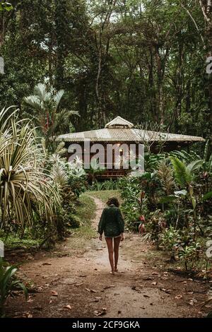 Vista posteriore di Lonely Woman camminando su sentiero stretto tra file di piante tropicali verdi con casa durante le vacanze Foto Stock