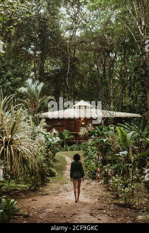 Vista posteriore di Lonely Woman camminando su sentiero stretto tra file di piante tropicali verdi con casa durante le vacanze Foto Stock