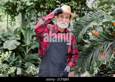 Orticoltura e giardinaggio concetto. Ritratto di bel giardiniere di sesso maschile in pensione cappello e grembiule nero, in posa su macchina fotografica e sorridente durante il suo Foto Stock