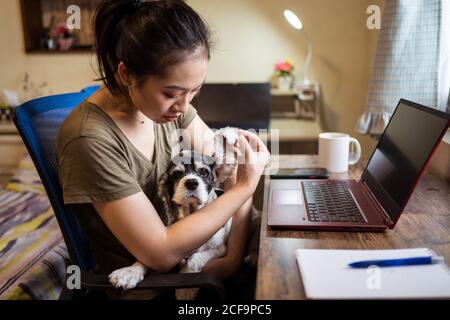 Vista laterale della freelance femminile messa a fuoco seduta sulla sedia prendendo note su blocco note mentre tiene un cane che lavora a distanza da casa Foto Stock
