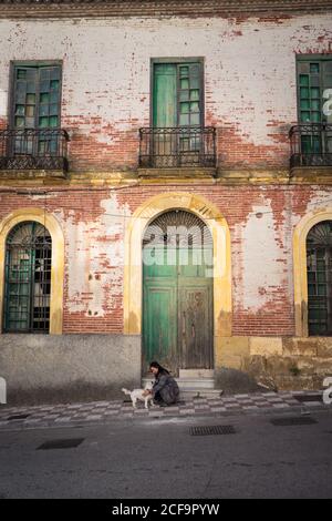 Una donna tranquilla che strava il cane sulla strada Foto Stock