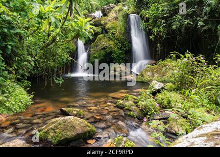 Uganda - 26 novembre 2016: Meraviglioso scenario di cascata del fiume di montagna che scorre in stagno con fondo roccioso tra verdi giungla addensati in caldo giorno di sole Foto Stock