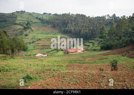 Uganda - 26 novembre 2016: Da sopra magnifico scenario di campagna con piccoli campi coltivati e villaggio solitario tra colline con verde erba lussureggiante e fitte foreste Foto Stock