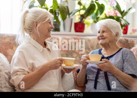 Donna che passa il tempo con la madre anziana Foto Stock
