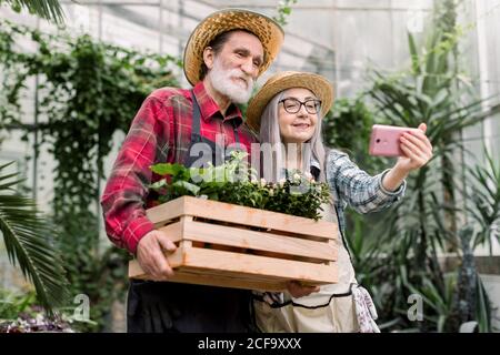 Ritratto di gioiosi giardinieri maschi e femmine sorridenti, indossando cappelli di paglia, facendo foto selfie su smartphone, in posa con vasi da fiori decorativi Foto Stock