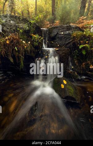 Vista pittoresca della piccola cascata che scorre attraverso la foresta giorno d'autunno Foto Stock