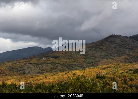 Valle calma con montagne boscose sotto cielo grigio nuvoloso in periodo autunnale Foto Stock