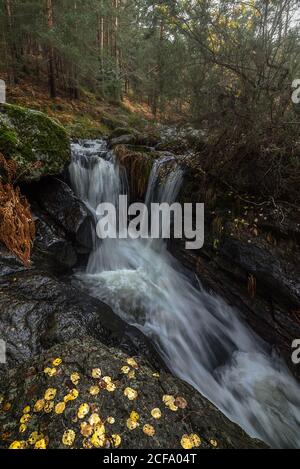 Vista pittoresca della piccola cascata che scorre attraverso la foresta giorno d'autunno Foto Stock