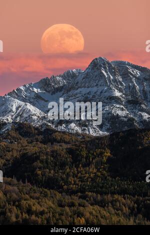 Maestoso paesaggio montano con luna piena in cielo colorato la catena rocciosa innevata e la fitta foresta nel periodo autunnale Foto Stock