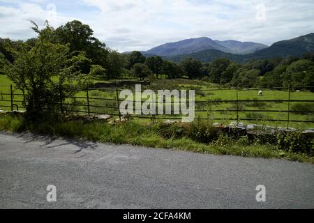 vista sul lato della strada dei picchi di langdale da parte del pubblico attraverso i campi contadini rurali loughrigg lake district national park cumbria inghilterra regno unito Foto Stock