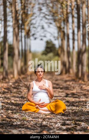Calma adulto incinta Donna pratica yoga mentre si siede in posa lotus a terra nel parco durante il giorno di sole Foto Stock