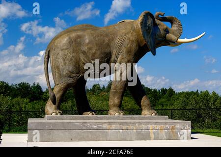 St. Thomas, Ontario, Canada. Una statua a grandezza naturale di Jumbo l'elefante. Foto Stock