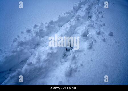 Primo piano di piste per pneumatici in neve fresca Foto Stock