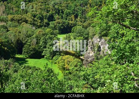 Splendida vista sul fiume Thaya nel Parco Nazionale Thaya Valley Al confine tra l'Austria e la Repubblica ceca Foto Stock