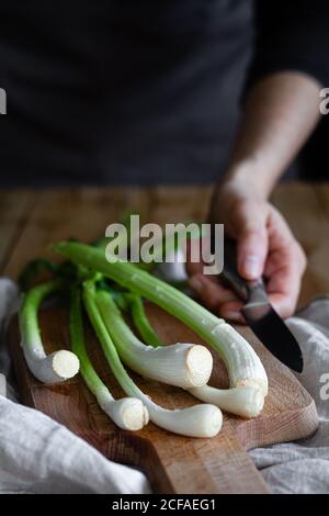 Mani di donna tagliate con coltello e mazzo di scalioni maturi posti su tagliere di legno e tovagliolo di stoffa su tavolo rustico in cucina Foto Stock