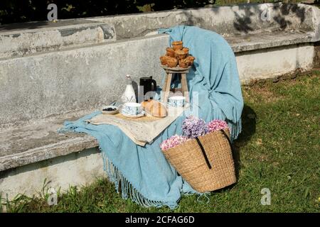 Cupcake e biscotti con teiera e latte su coperta blu servito con cesto di paglia con fiori su panca a calle giardino estivo Foto Stock