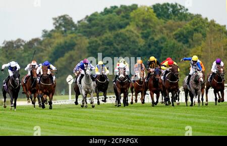 Una visione generale dei corridori e dei corridori in azione mentre competono nel Bateaux London handicap all'ippodromo di Ascot. Foto Stock