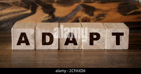 ADATTA parola scritta su blocco di legno. Nuovo concetto di business e assistenza sanitaria normale Foto Stock